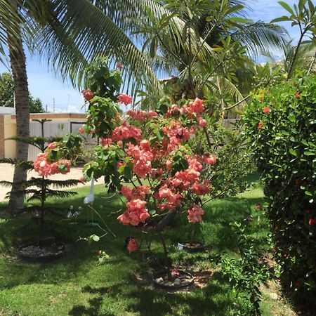 Pousada Villa Joia 拉巴拉德纳圣米格尔 外观 照片