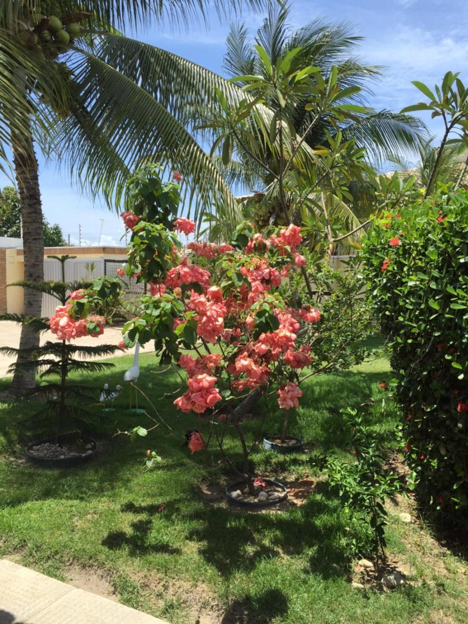 Pousada Villa Joia 拉巴拉德纳圣米格尔 外观 照片